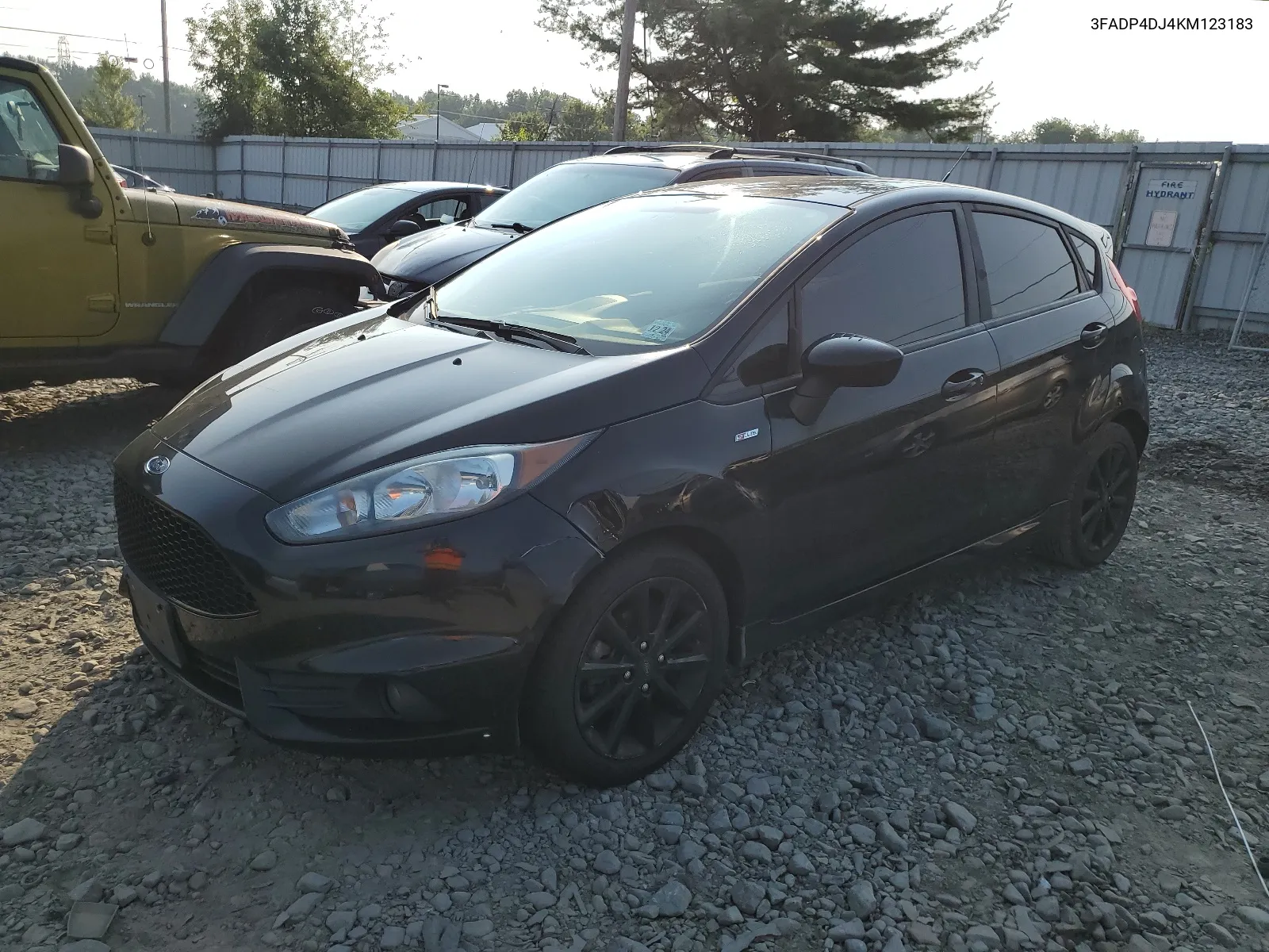 2019 Ford Fiesta St VIN: 3FADP4DJ4KM123183 Lot: 66000674