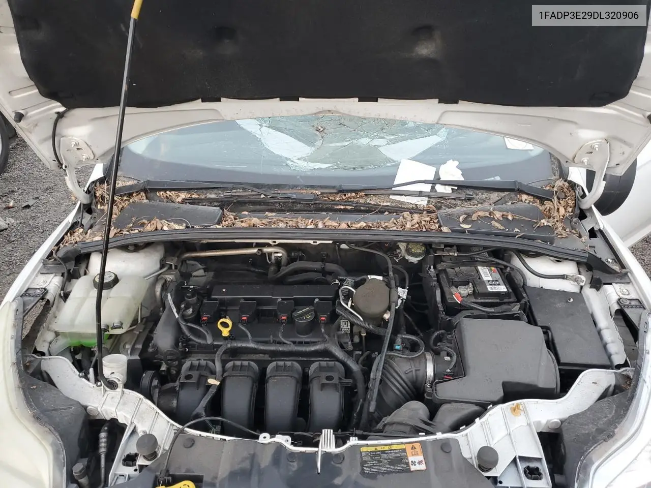1FADP3E29DL320906 2013 Ford Focus S