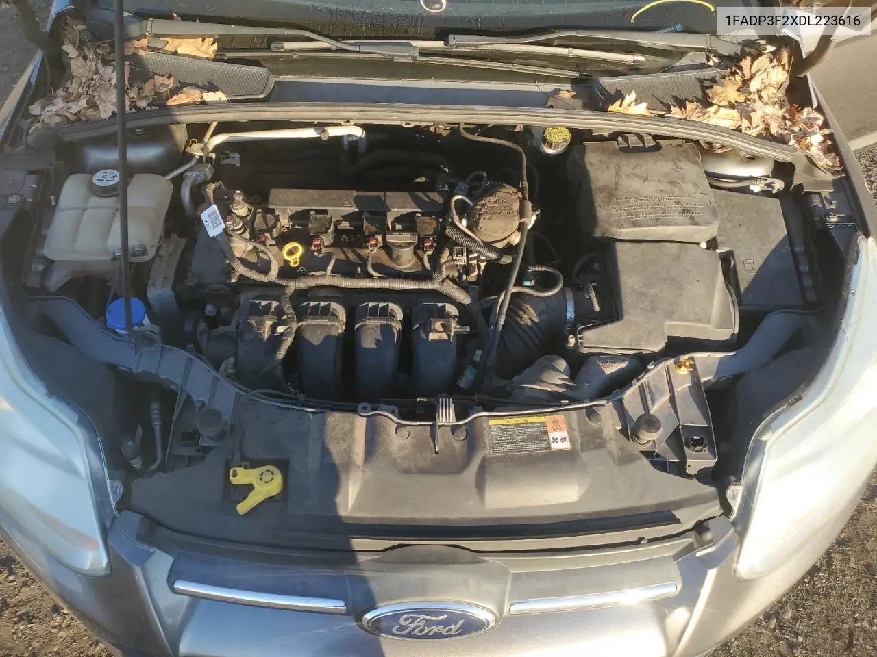 1FADP3F2XDL223616 2013 Ford Focus Se