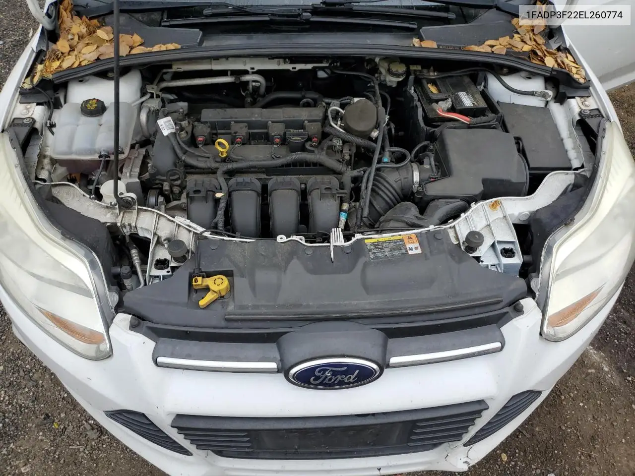 1FADP3F22EL260774 2014 Ford Focus Se