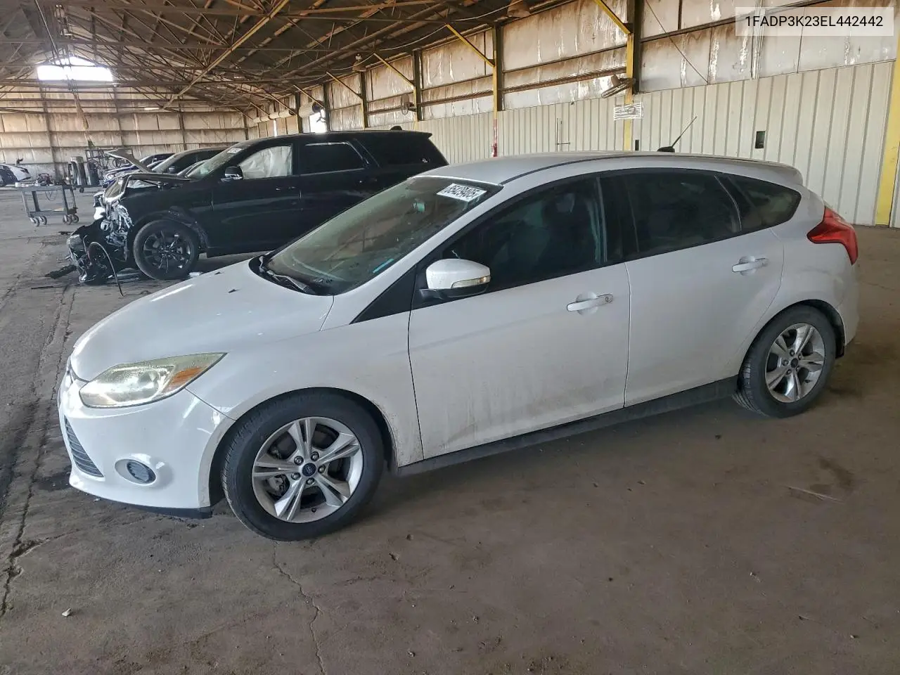 1FADP3K23EL442442 2014 Ford Focus Se