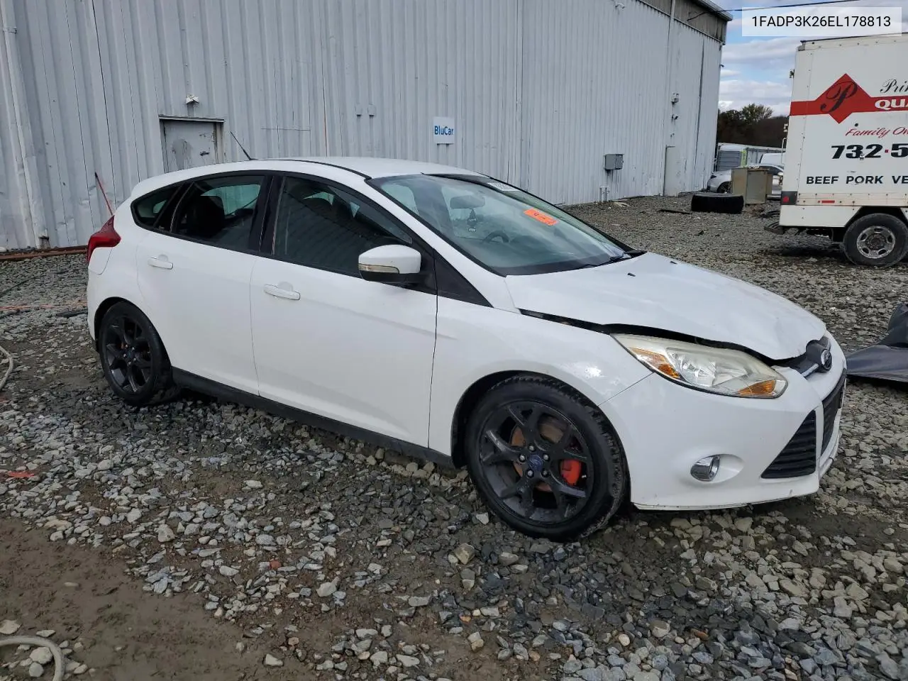 1FADP3K26EL178813 2014 Ford Focus Se