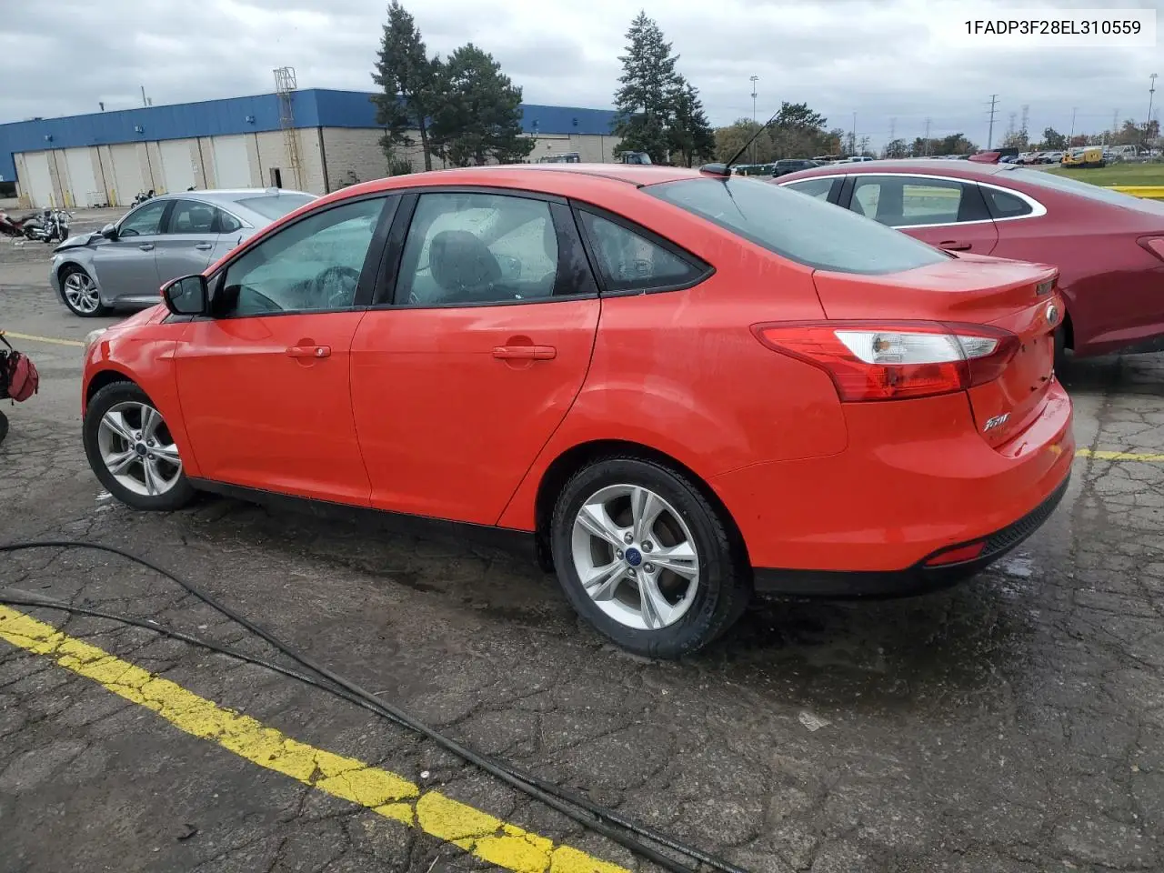 1FADP3F28EL310559 2014 Ford Focus Se