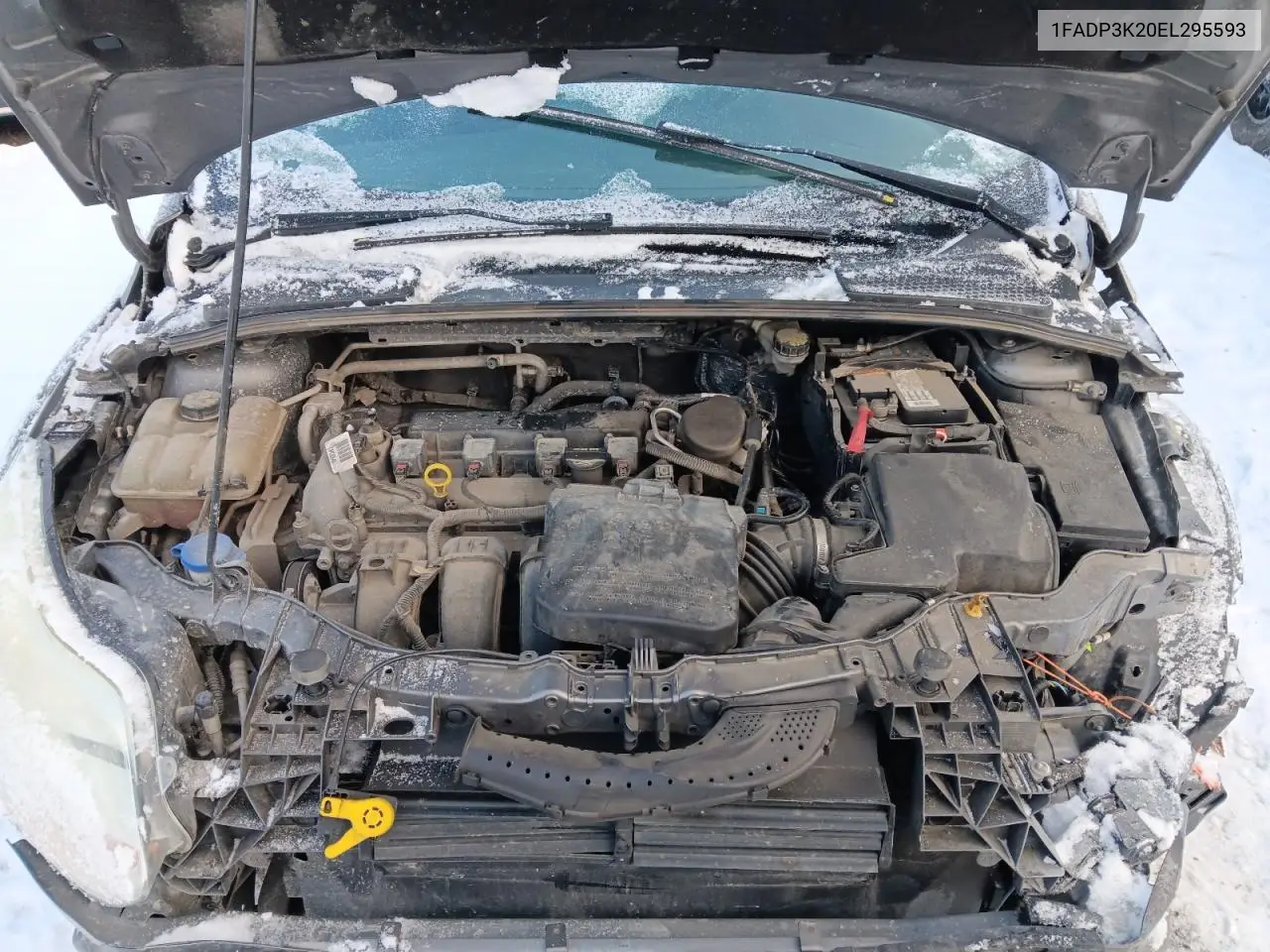 1FADP3K20EL295593 2014 Ford Focus Se