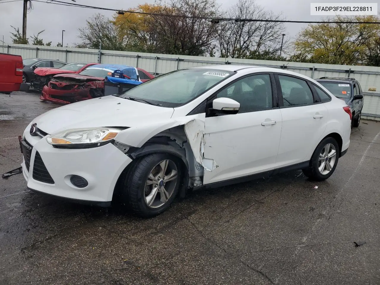 1FADP3F29EL228811 2014 Ford Focus Se