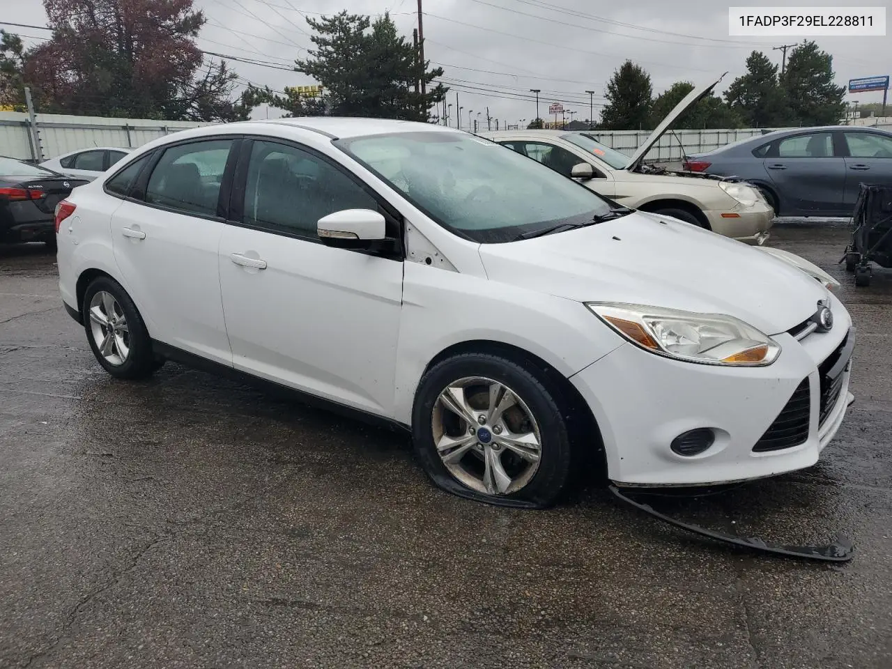 1FADP3F29EL228811 2014 Ford Focus Se