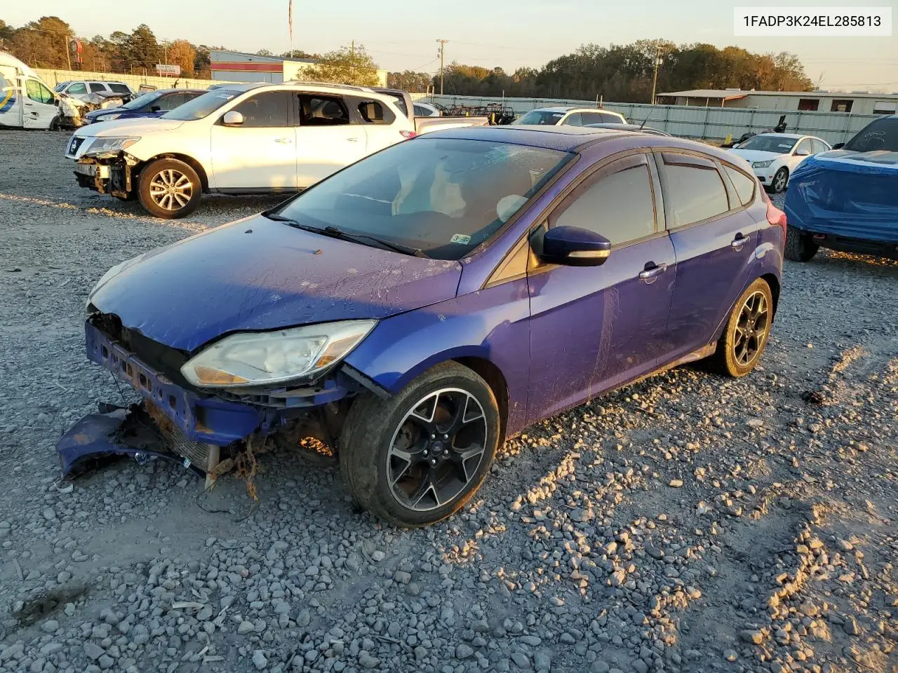 1FADP3K24EL285813 2014 Ford Focus Se