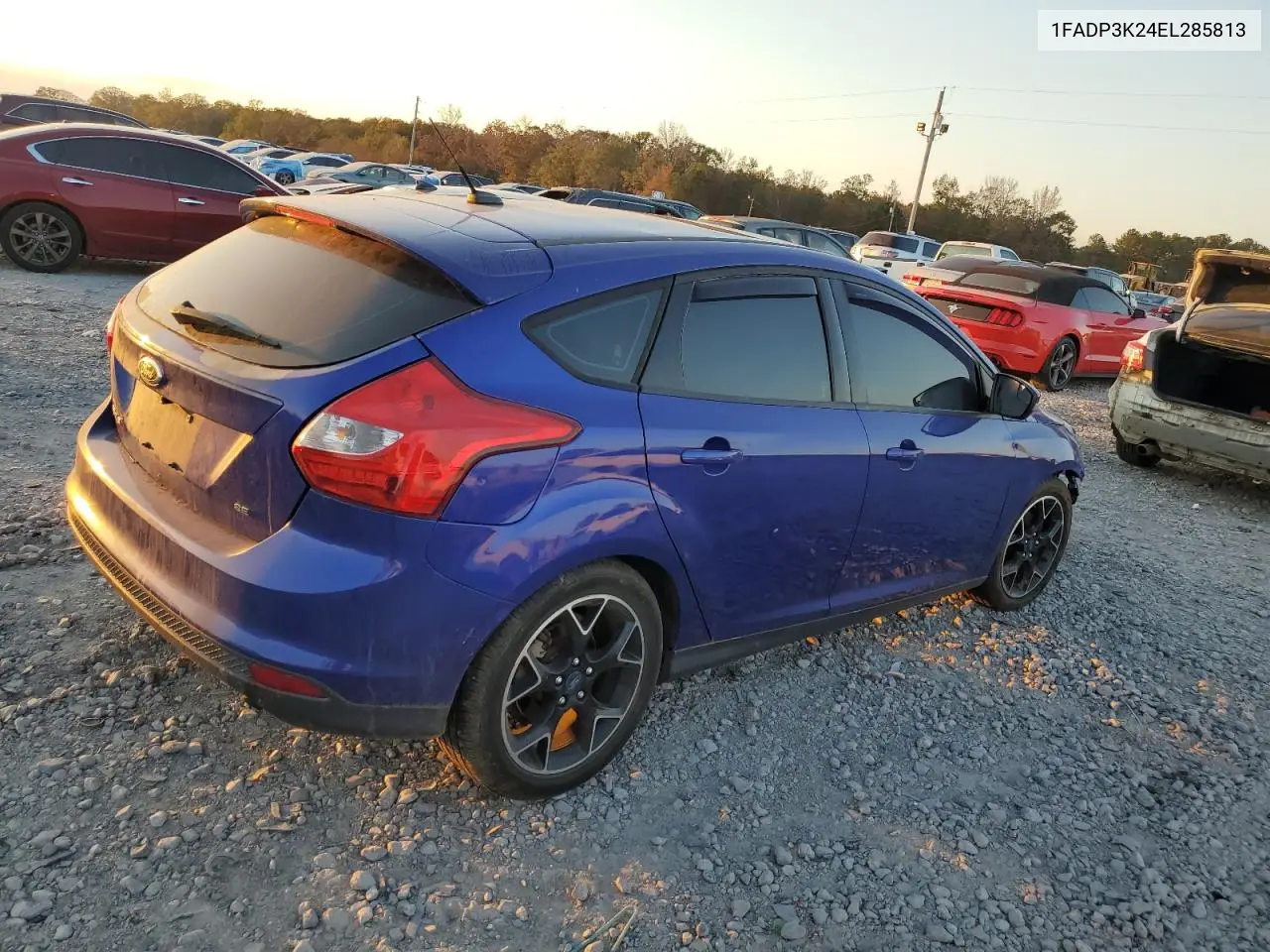 1FADP3K24EL285813 2014 Ford Focus Se