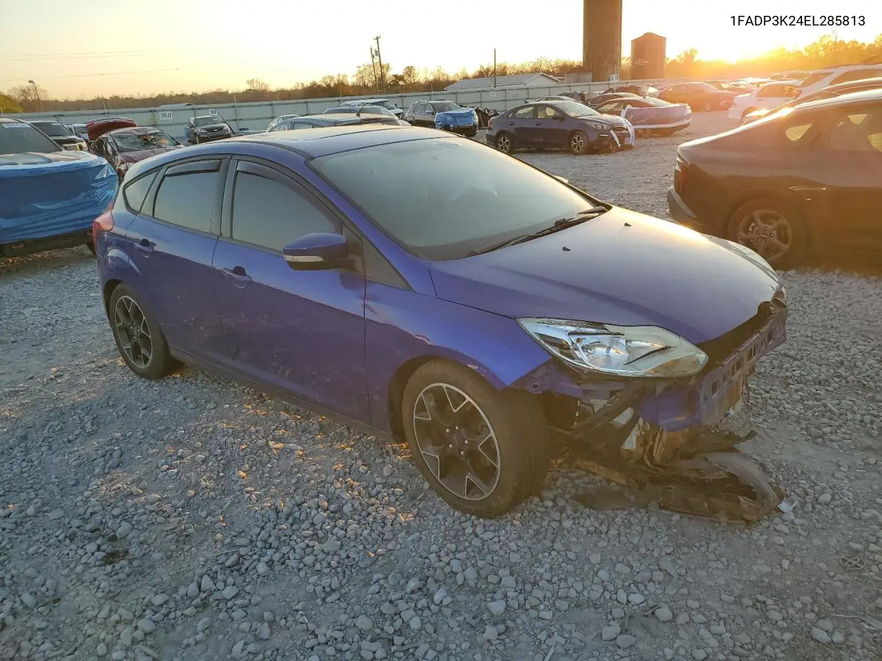 1FADP3K24EL285813 2014 Ford Focus Se