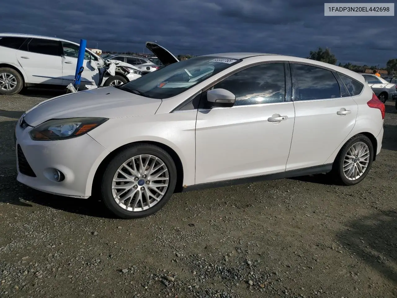 1FADP3N20EL442698 2014 Ford Focus Titanium