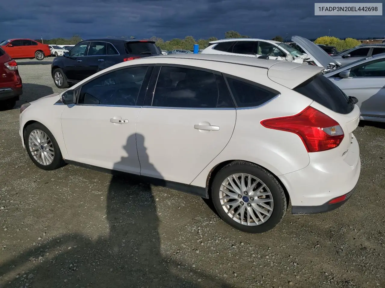 1FADP3N20EL442698 2014 Ford Focus Titanium