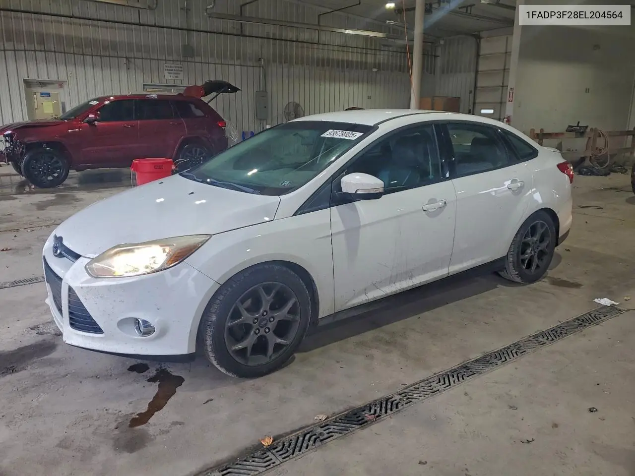 1FADP3F28EL204564 2014 Ford Focus Se