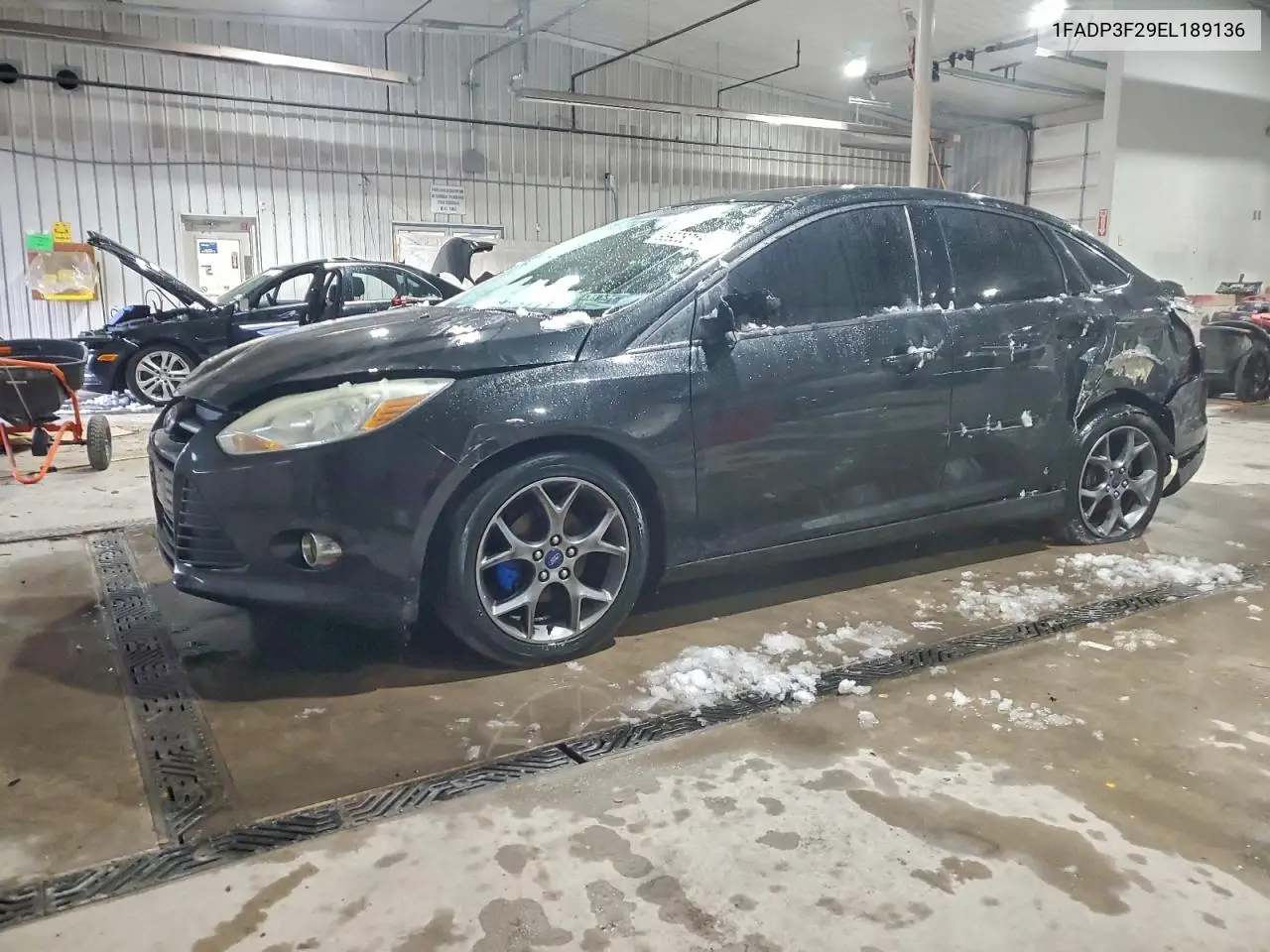 1FADP3F29EL189136 2014 Ford Focus Se