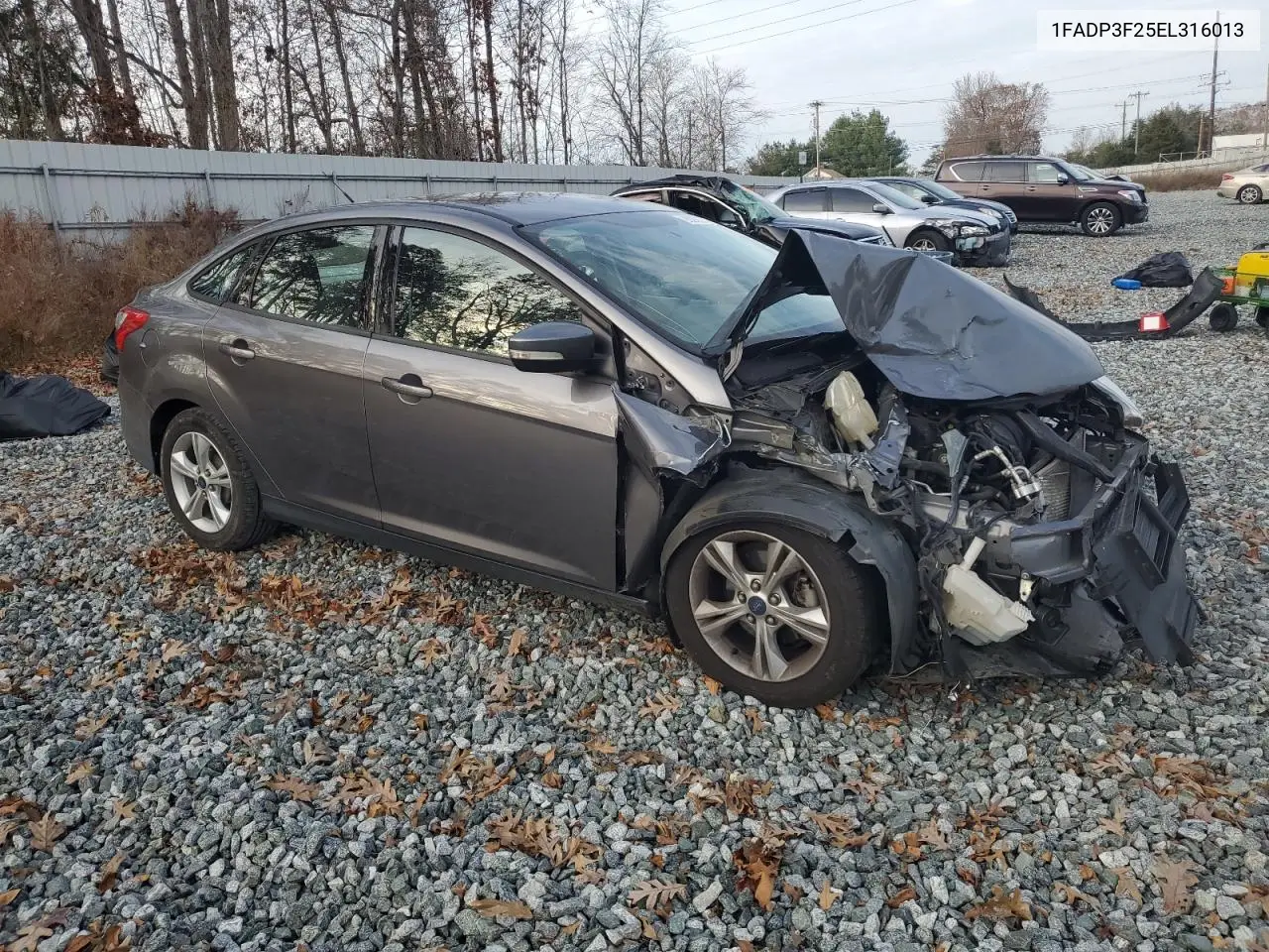 1FADP3F25EL316013 2014 Ford Focus Se