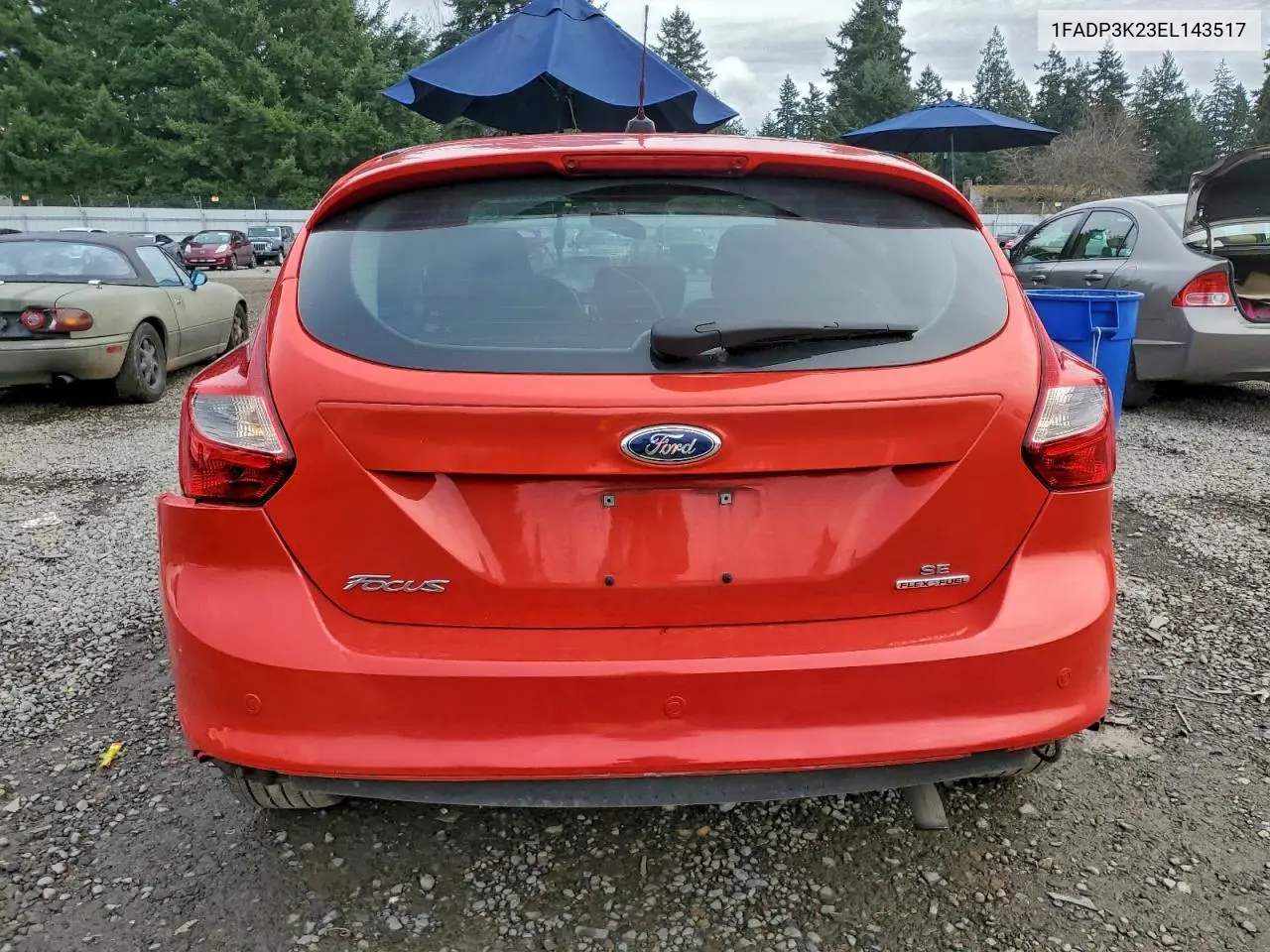 1FADP3K23EL143517 2014 Ford Focus Se