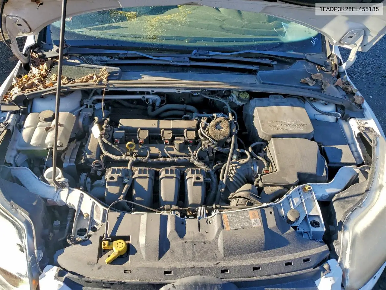 1FADP3K28EL455185 2014 Ford Focus Se