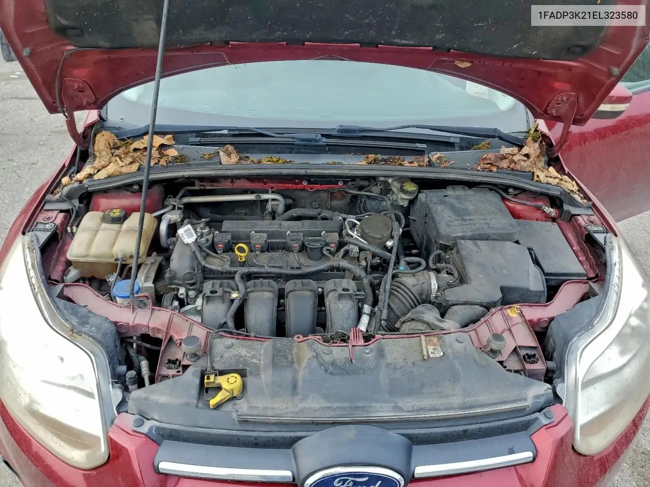 1FADP3K21EL323580 2014 Ford Focus Se