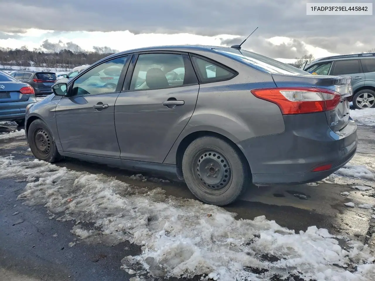 1FADP3F29EL445842 2014 Ford Focus Se