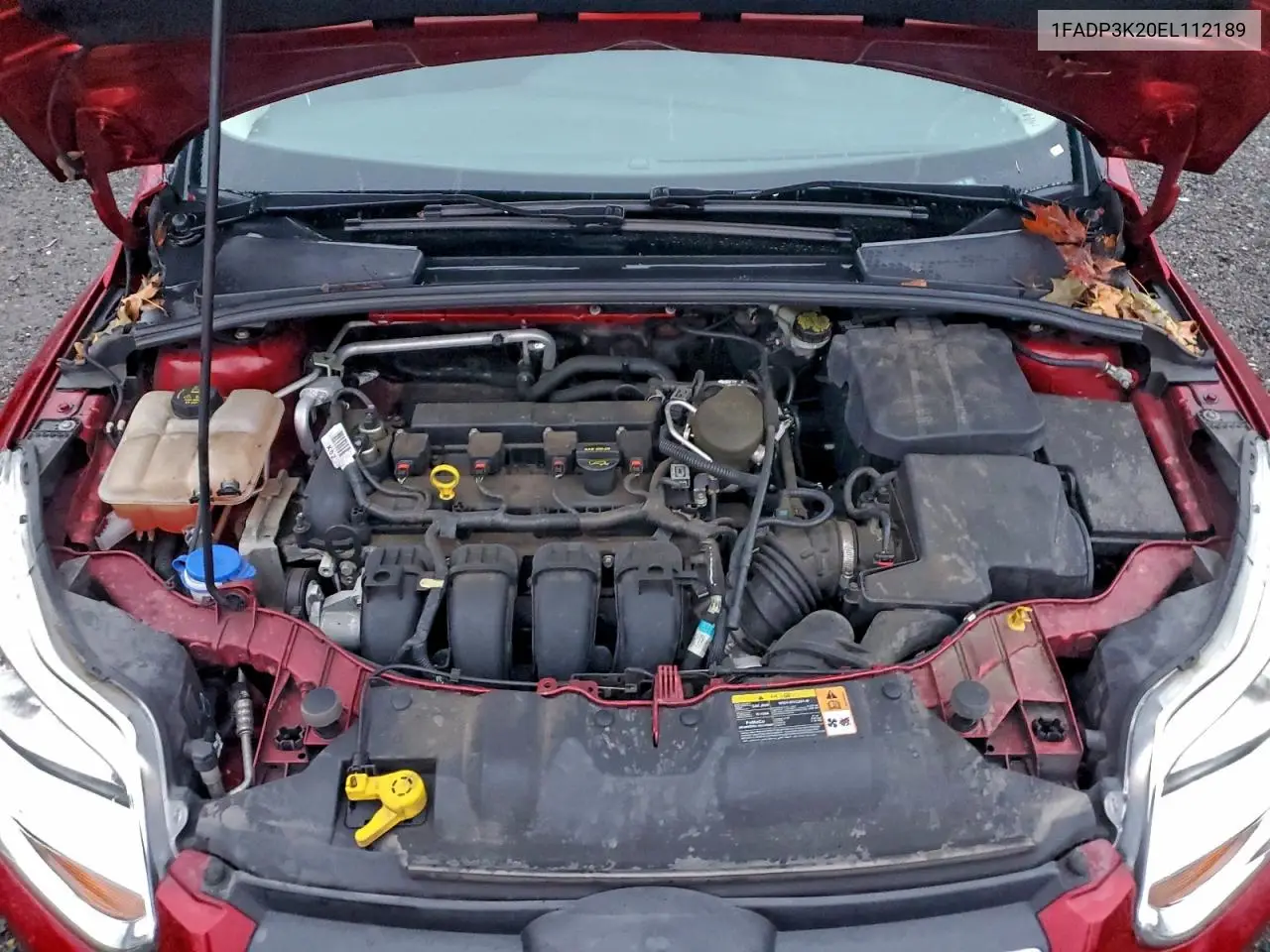 1FADP3K20EL112189 2014 Ford Focus Se