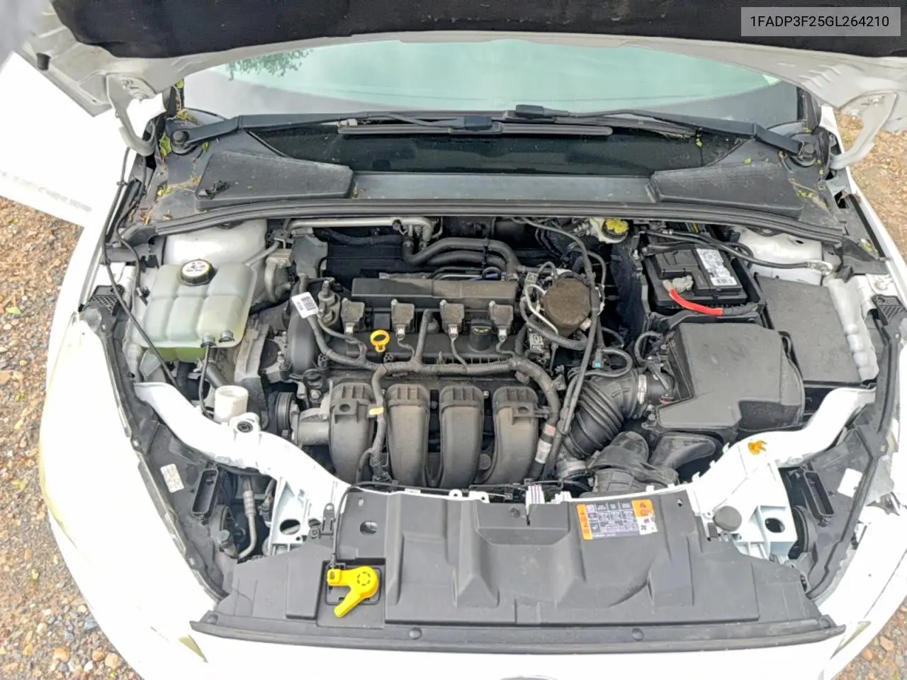1FADP3F25GL264210 2016 Ford Focus Se
