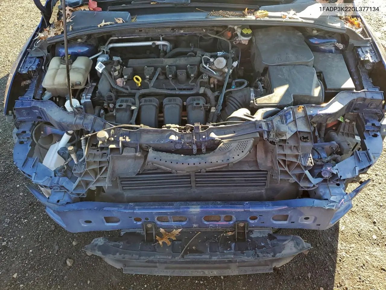 1FADP3K22GL377134 2016 Ford Focus Se