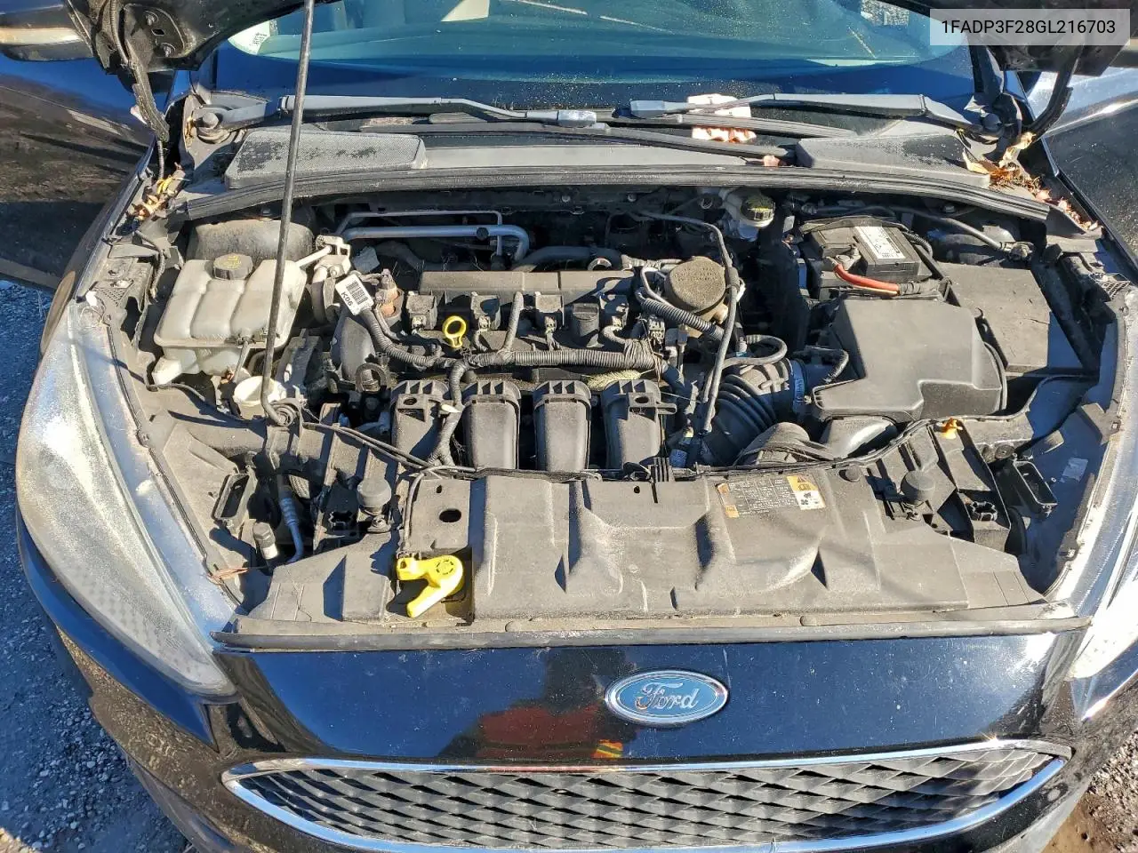 1FADP3F28GL216703 2016 Ford Focus Se