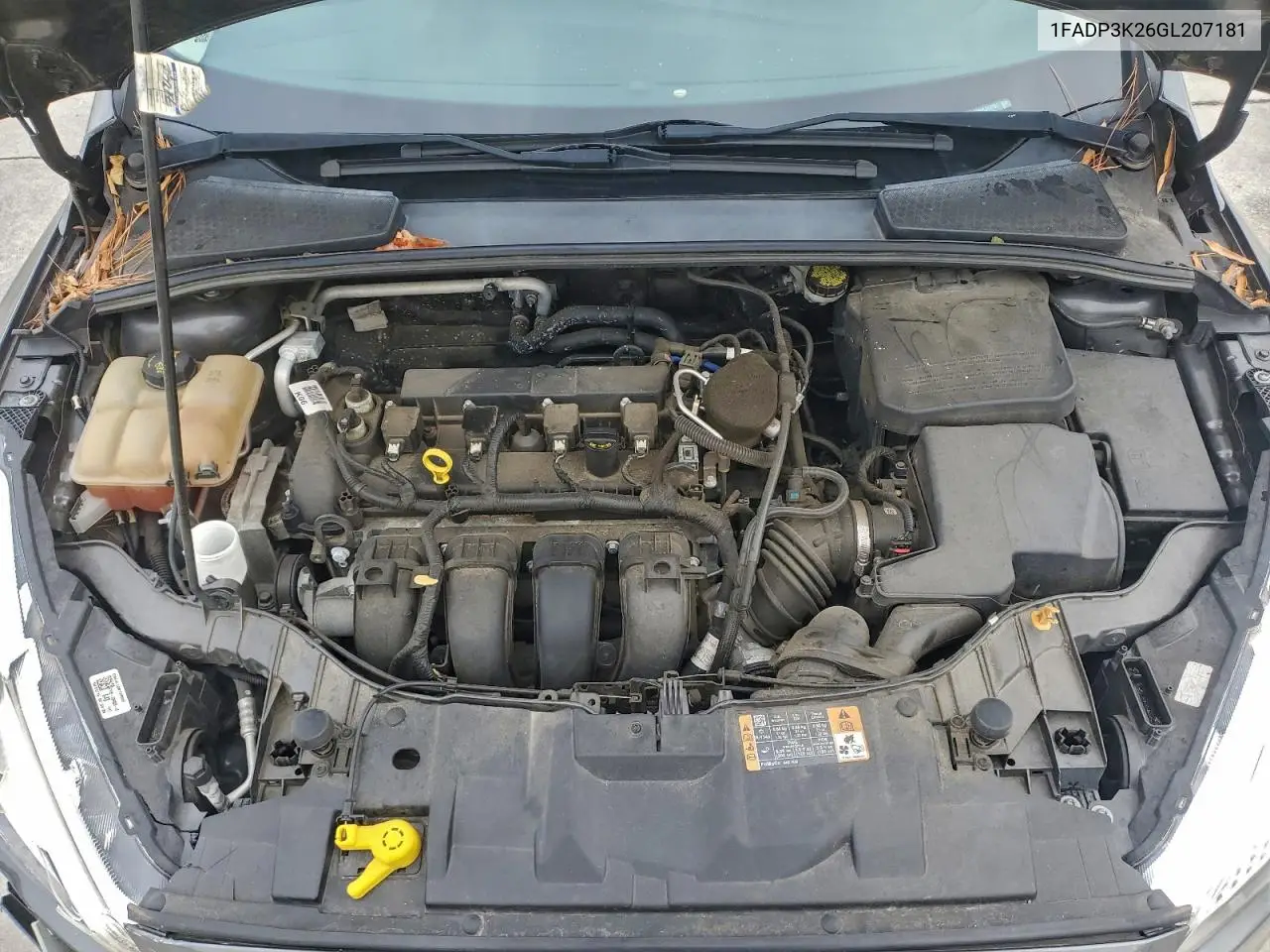 1FADP3K26GL207181 2016 Ford Focus Se