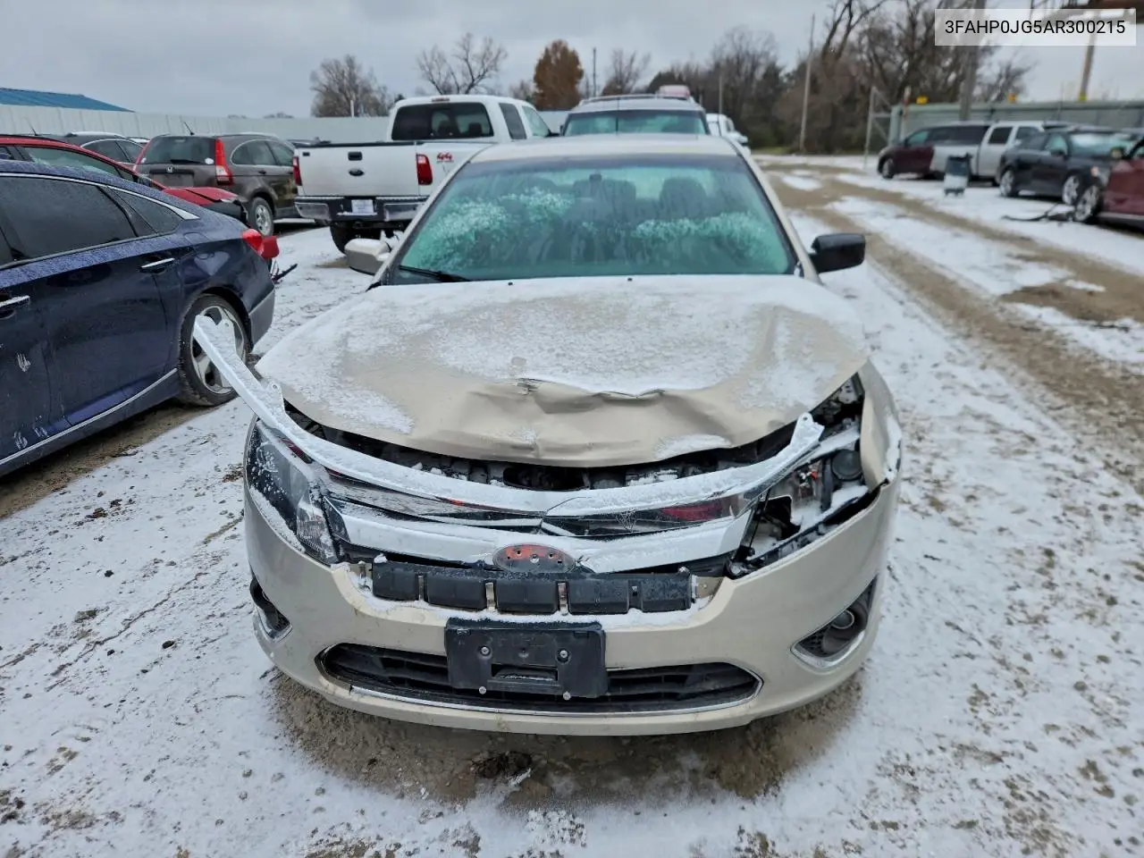 3FAHP0JG5AR300215 2010 Ford Fusion Sel