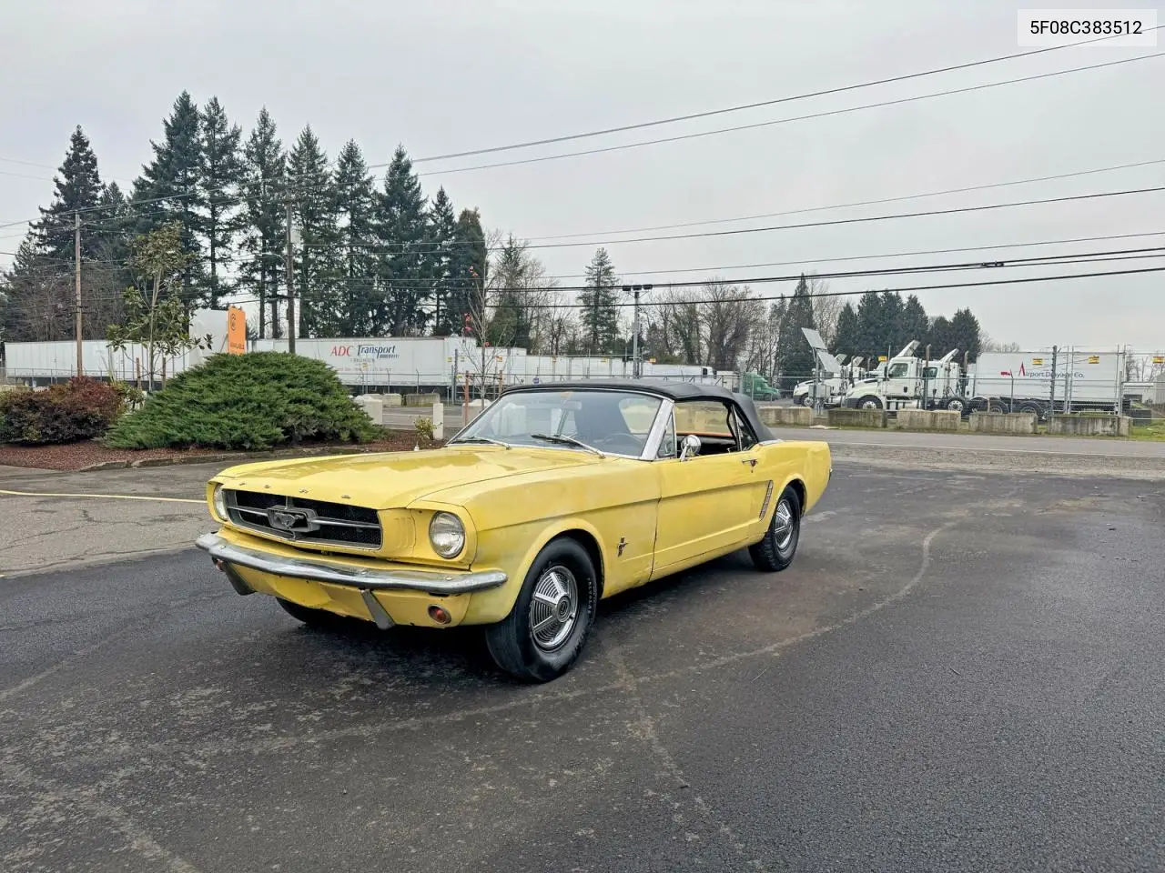 1965 Ford Mustang VIN: 5F08C383512 Lot: 77571385