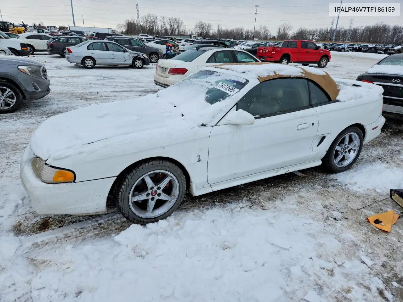 1FALP46V7TF186159 1996 Ford Mustang Cobra