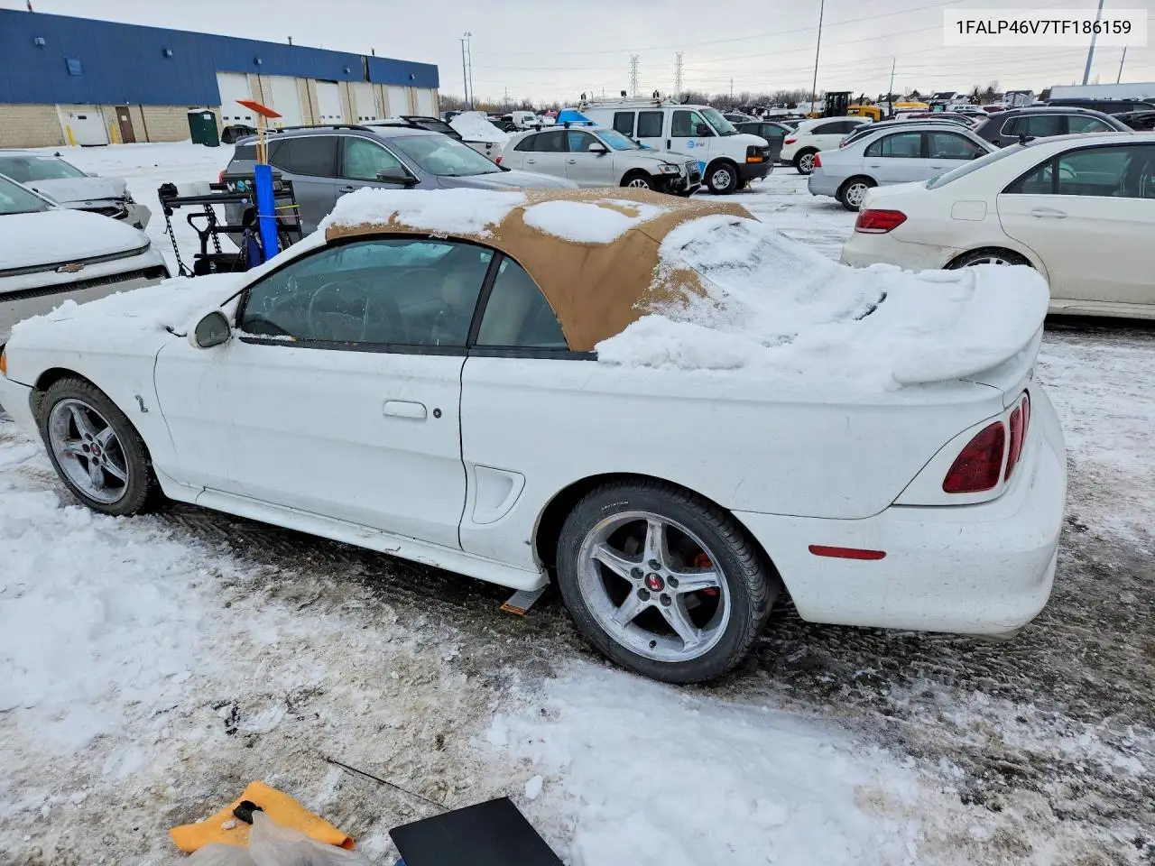 1FALP46V7TF186159 1996 Ford Mustang Cobra