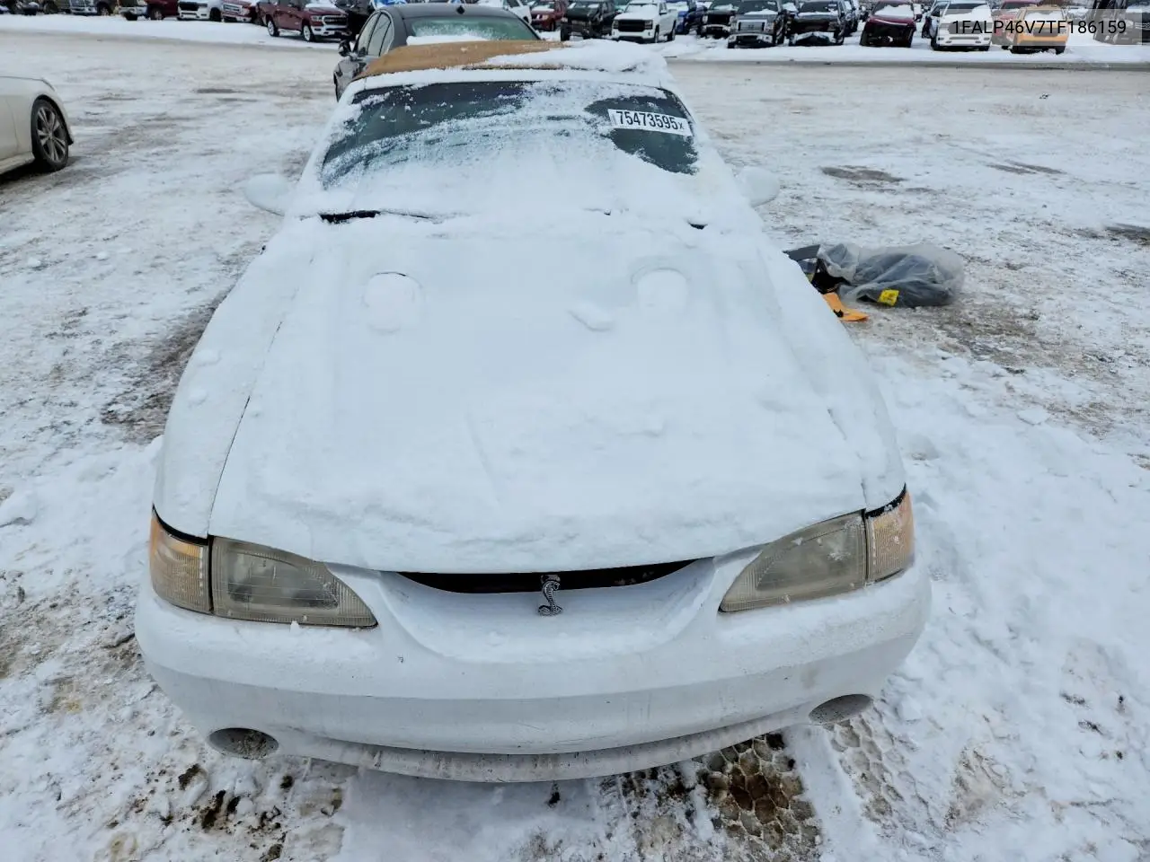 1FALP46V7TF186159 1996 Ford Mustang Cobra