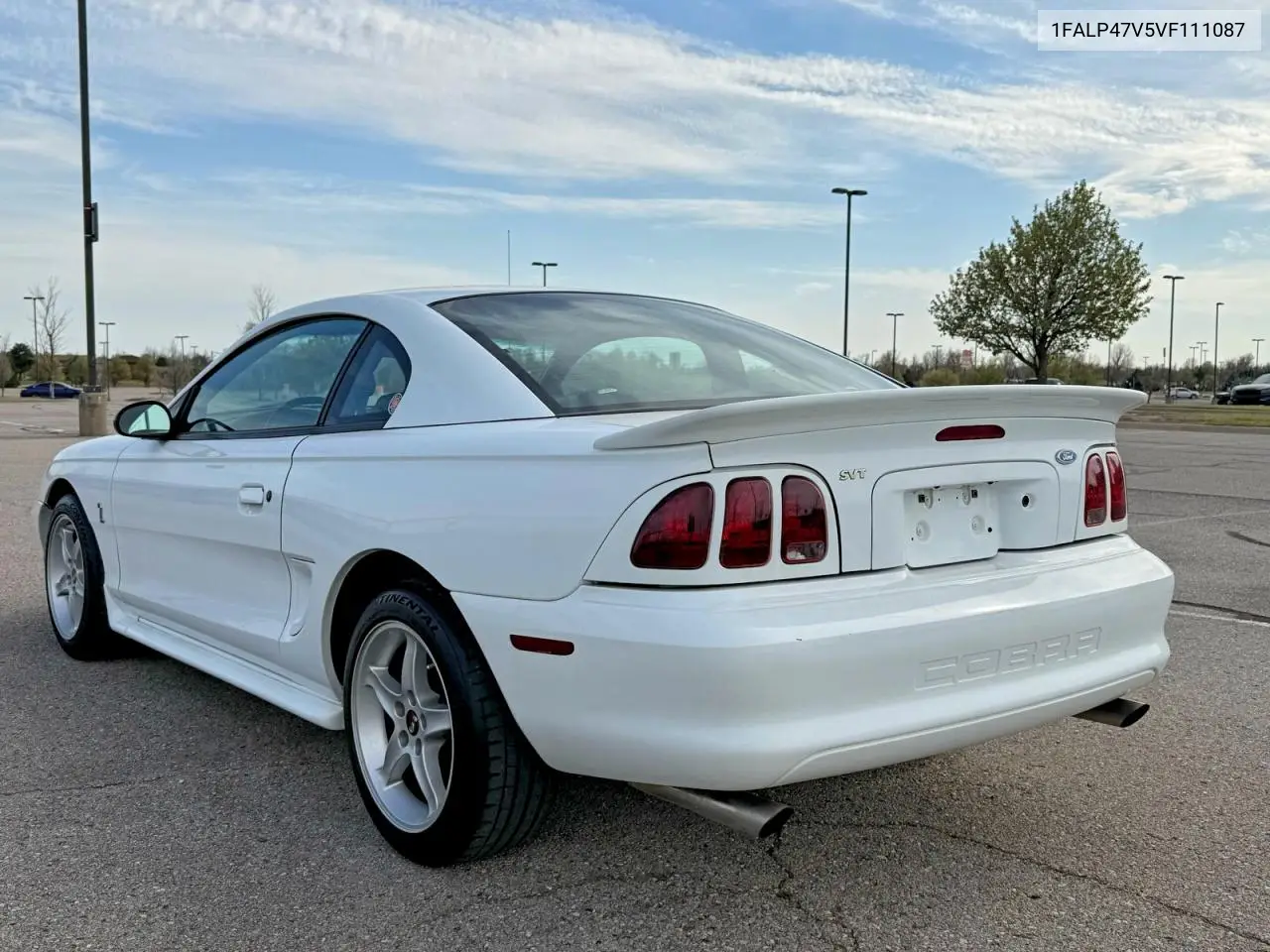 1FALP47V5VF111087 1997 Ford Mustang Cobra