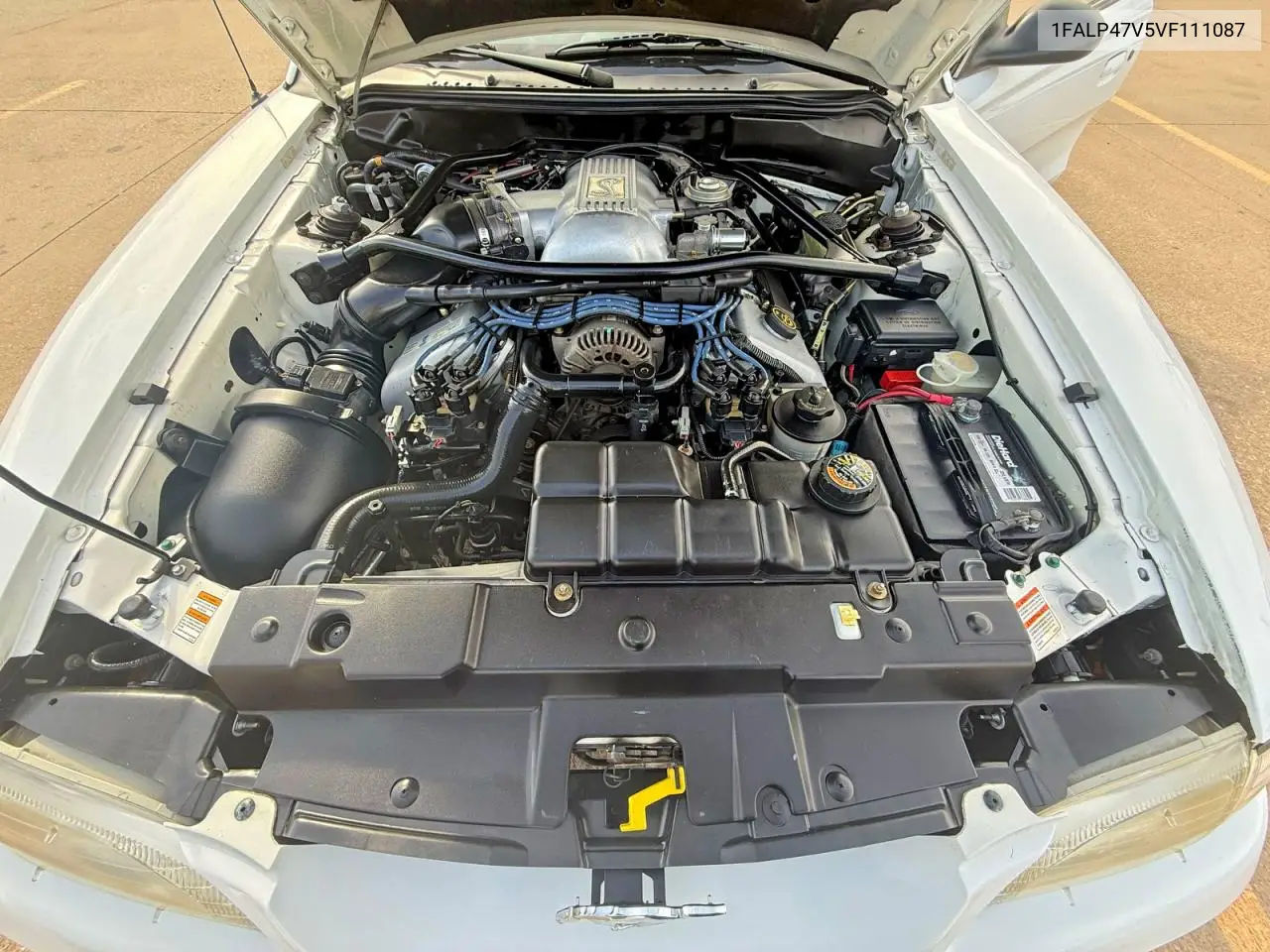 1FALP47V5VF111087 1997 Ford Mustang Cobra