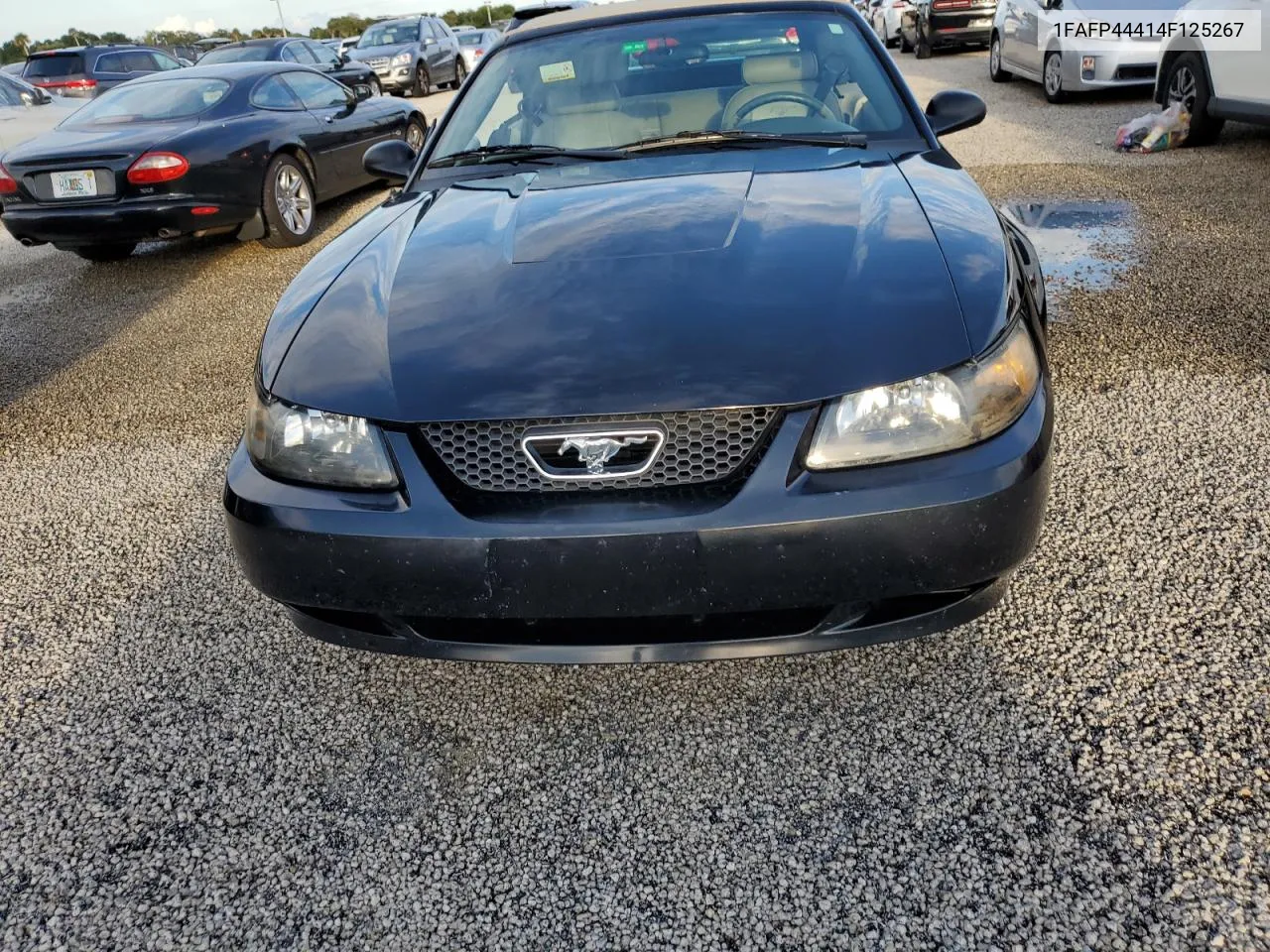 1FAFP44414F125267 2004 Ford Mustang