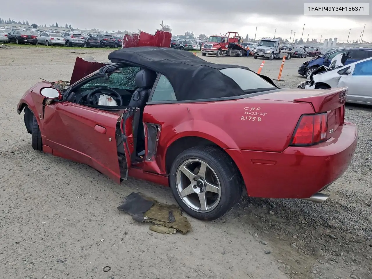 1FAFP49Y34F156371 2004 Ford Mustang Cobra Svt