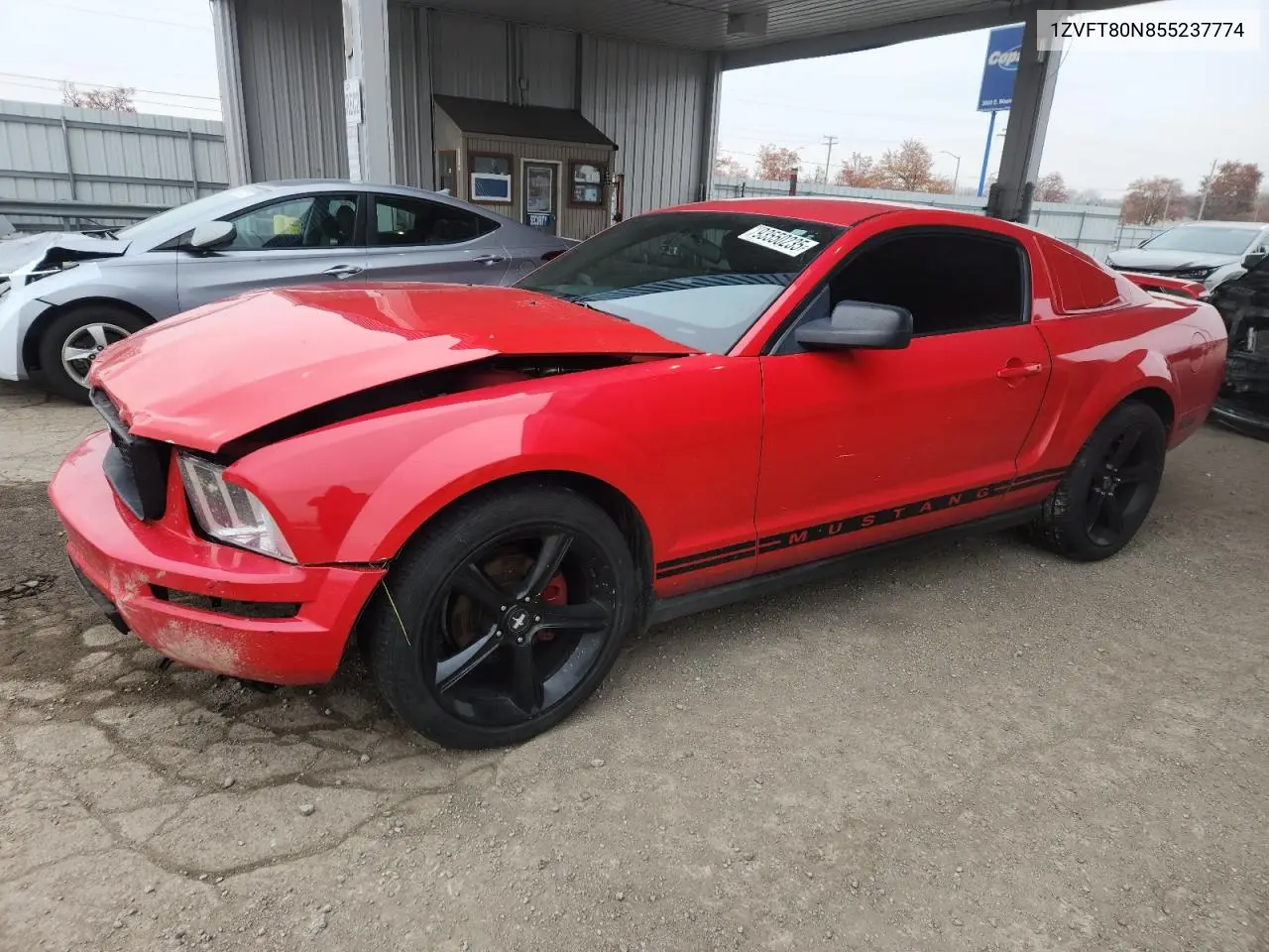 1ZVFT80N855237774 2005 Ford Mustang