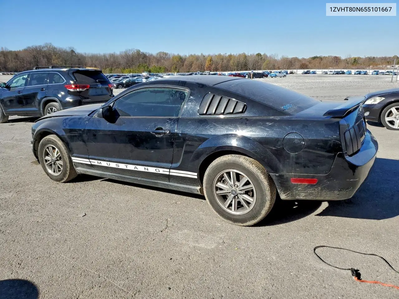 1ZVHT80N655101667 2005 Ford Mustang