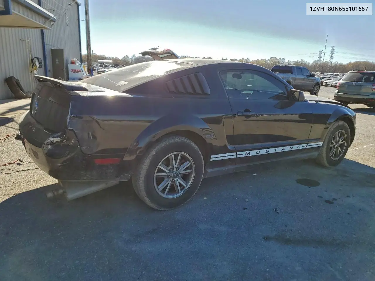 1ZVHT80N655101667 2005 Ford Mustang