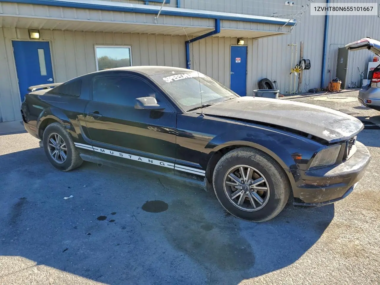 1ZVHT80N655101667 2005 Ford Mustang