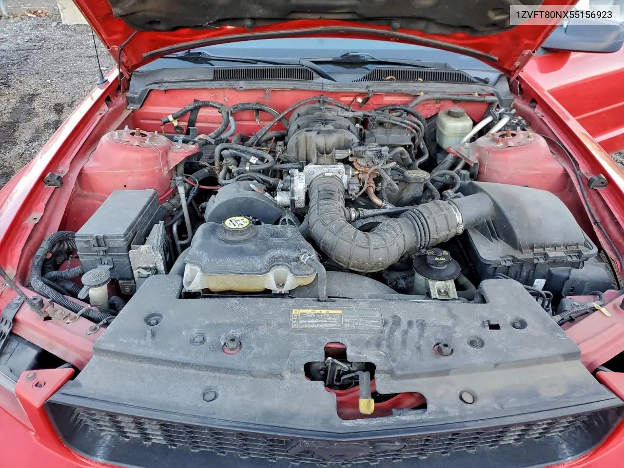 1ZVFT80NX55156923 2005 Ford Mustang