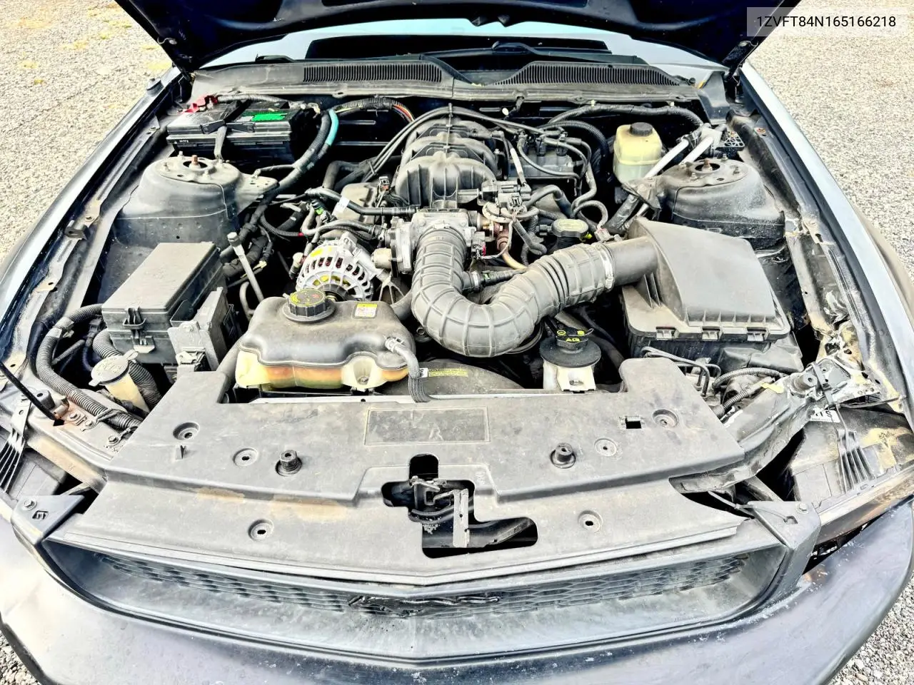 1ZVFT84N165166218 2006 Ford Mustang