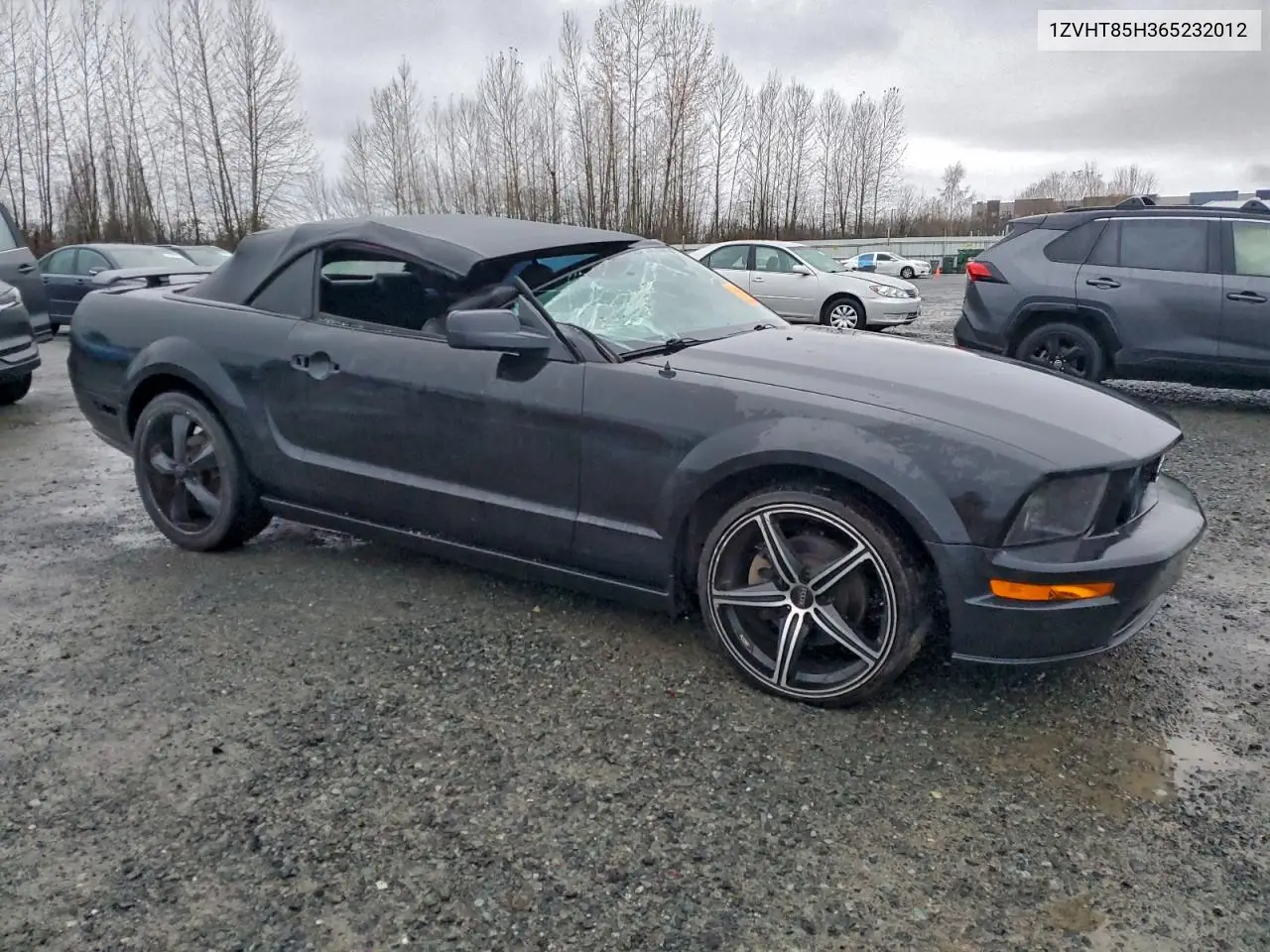 1ZVHT85H365232012 2006 Ford Mustang Gt