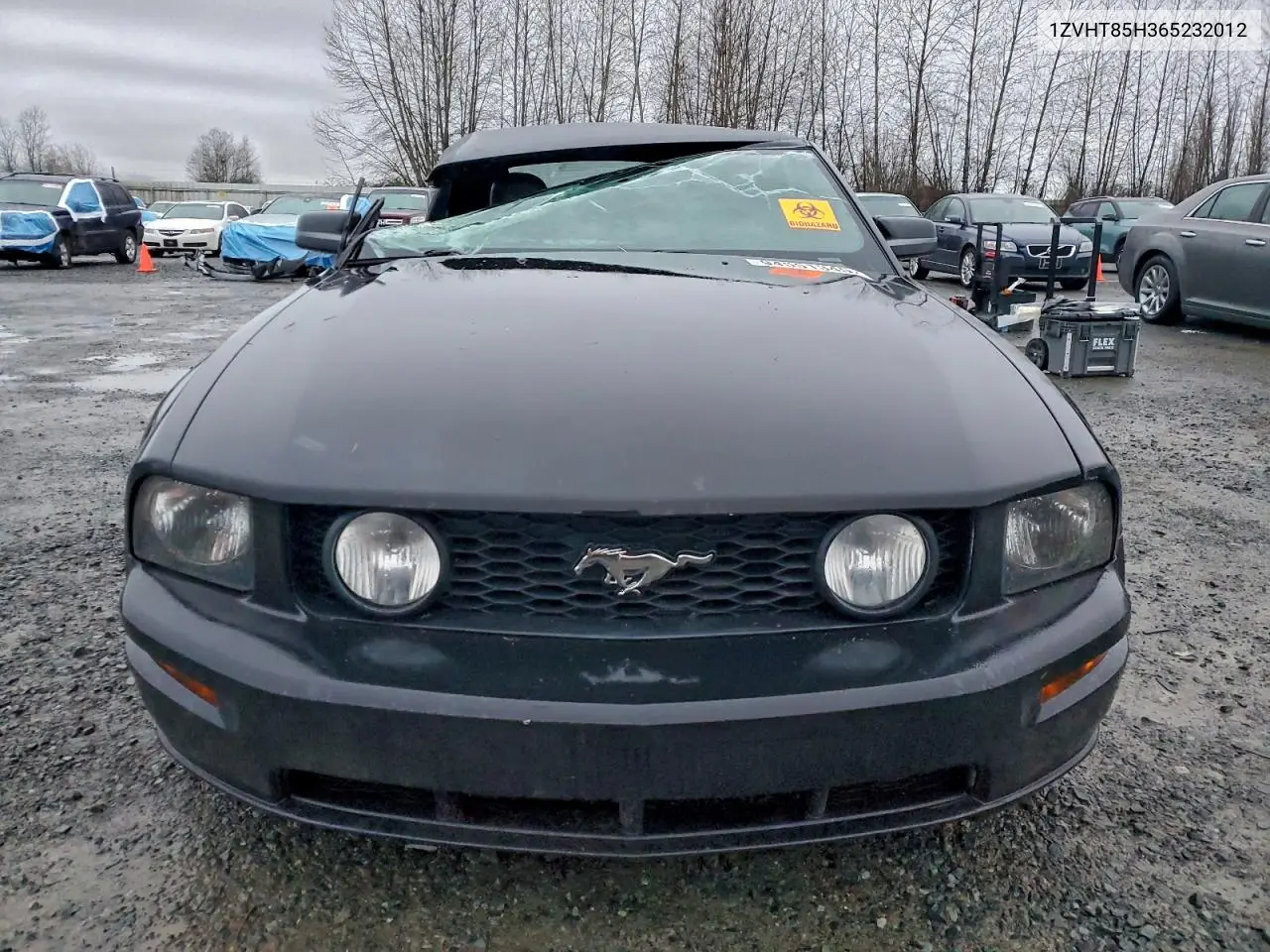 1ZVHT85H365232012 2006 Ford Mustang Gt