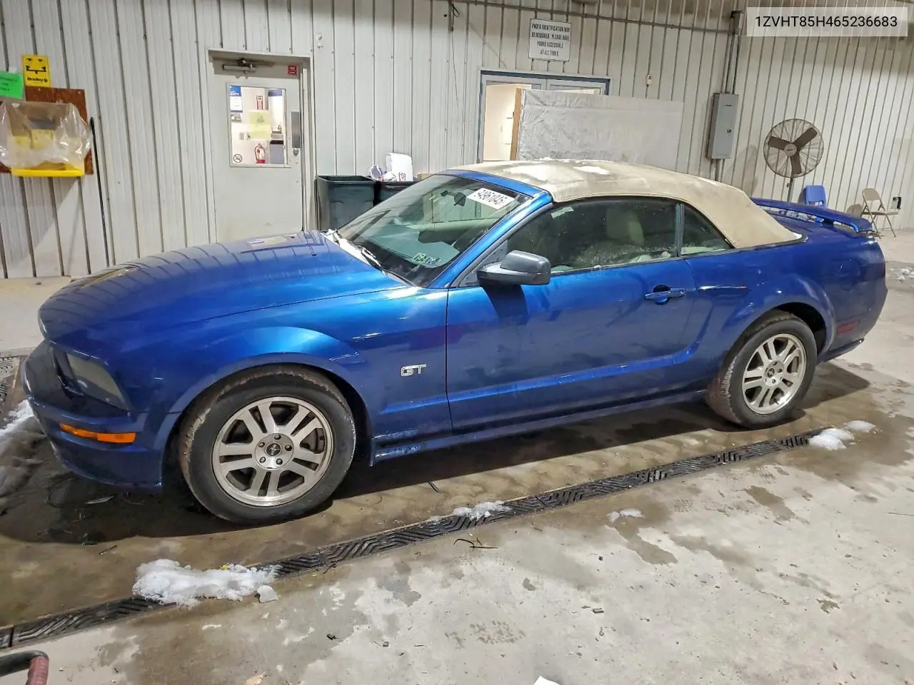 1ZVHT85H465236683 2006 Ford Mustang Gt