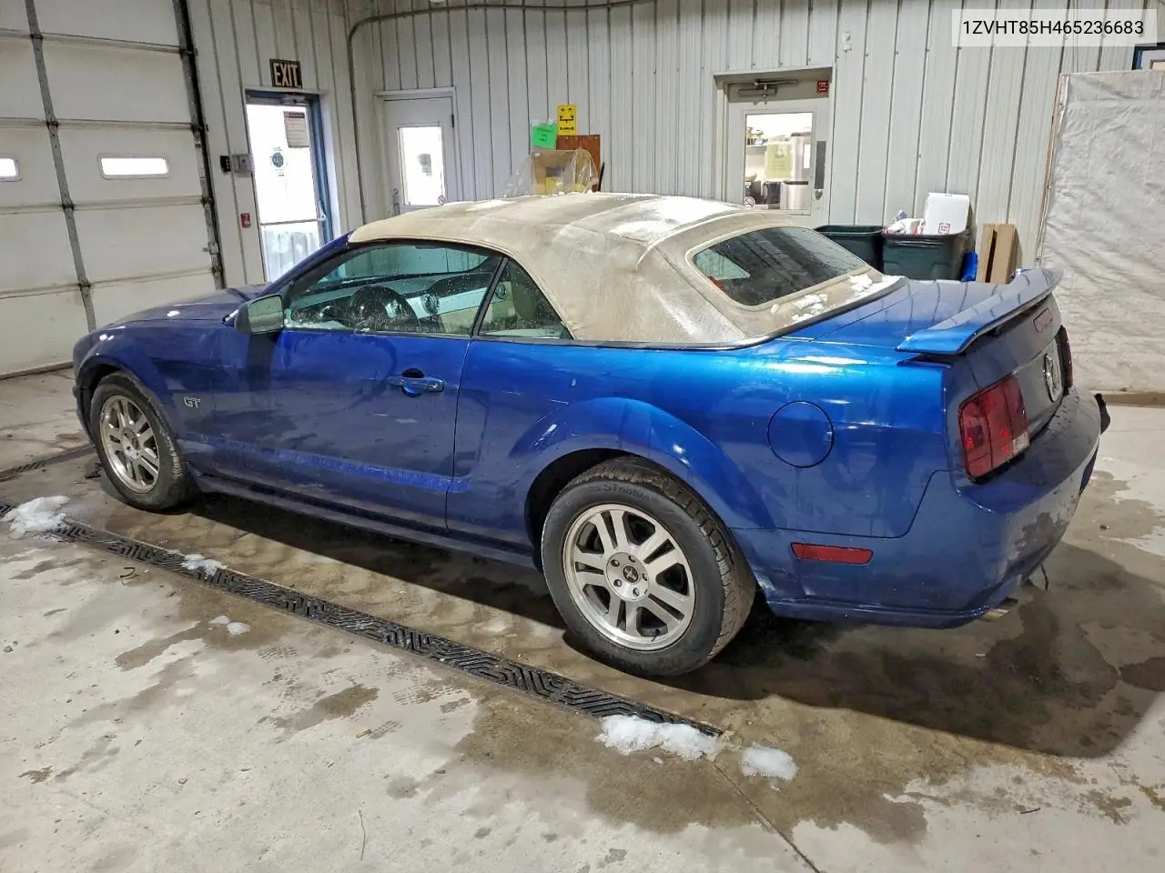 1ZVHT85H465236683 2006 Ford Mustang Gt