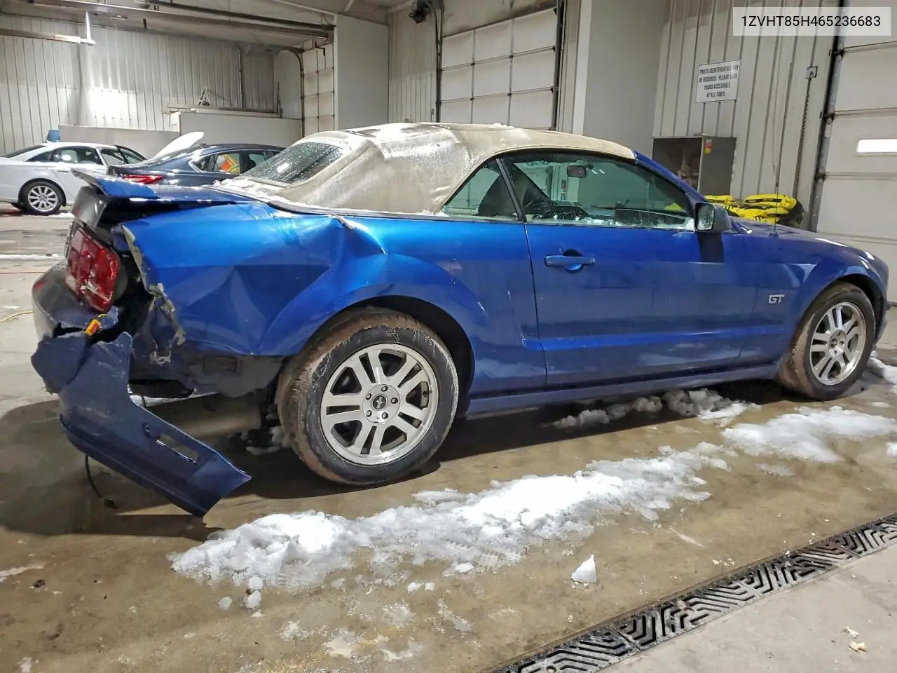 1ZVHT85H465236683 2006 Ford Mustang Gt