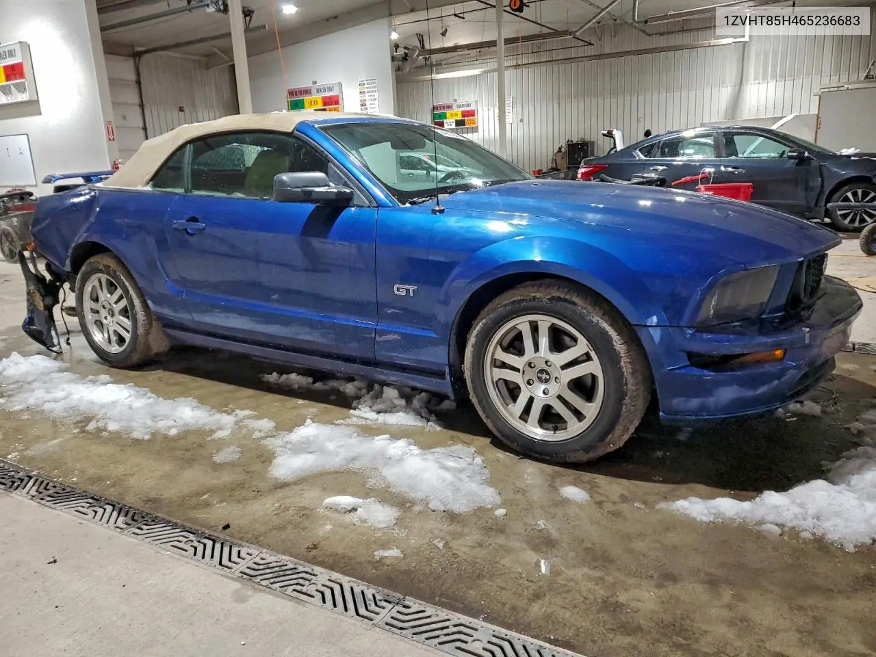 1ZVHT85H465236683 2006 Ford Mustang Gt