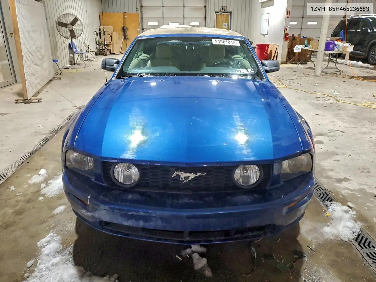 1ZVHT85H465236683 2006 Ford Mustang Gt