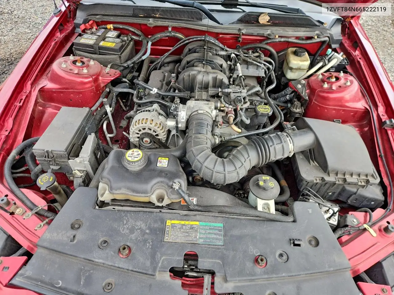 1ZVFT84N665222119 2006 Ford Mustang